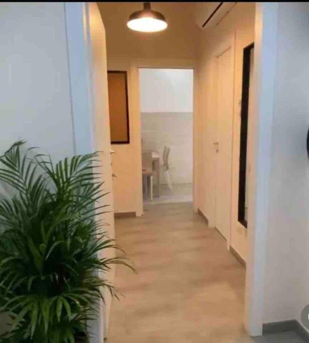 Casa Zia Gina Guest House Nel Centro Di Roma מראה חיצוני תמונה